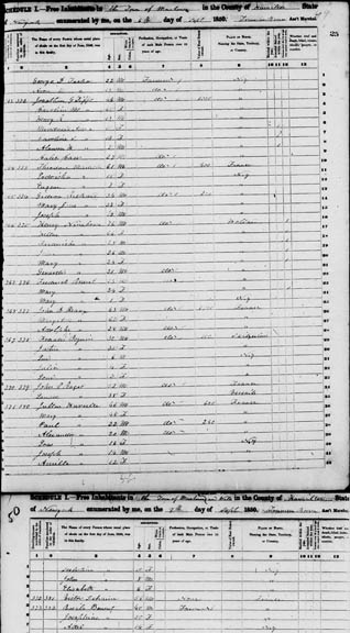 The 1850 US Census data clearly shows the Hurelle family in New York, with links back to France.