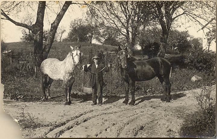 Percheron horses Elmer acquires in the early 1900s