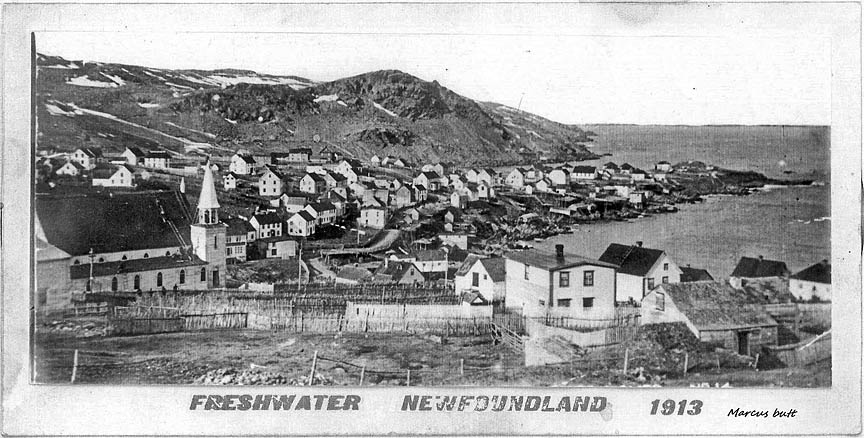 1913 view of Freshwater, Clown's Cove and Flatrock village 