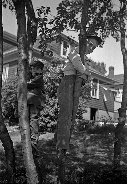 1950s hanging out in trees