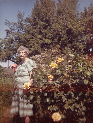 Della stands in the garden with her huge roses.