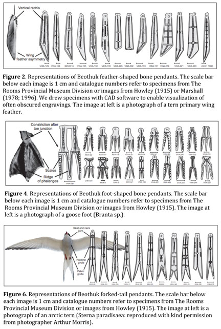 Beothuk bone pendants