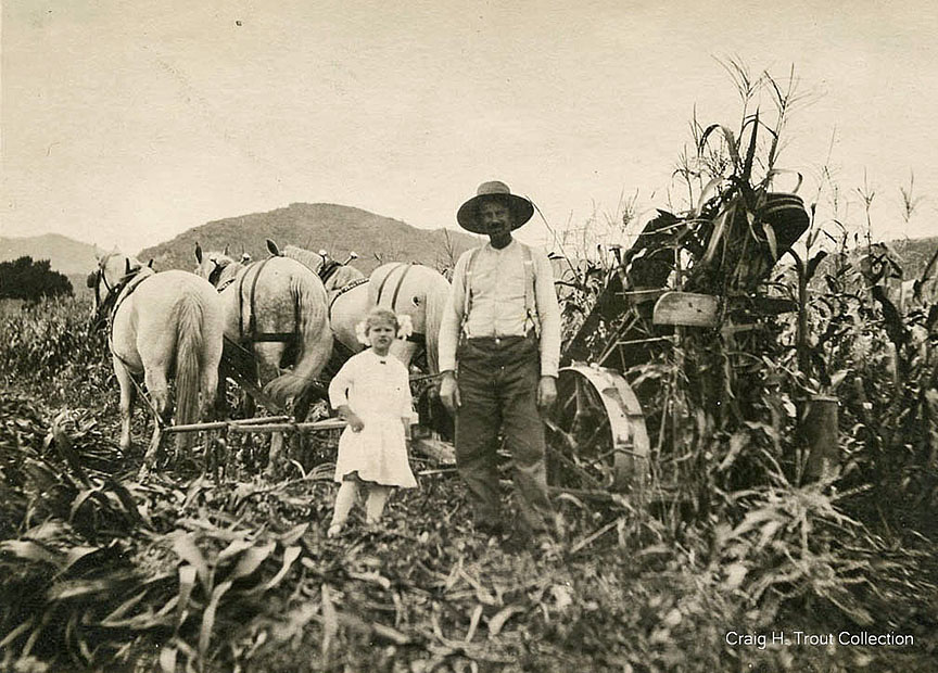 Hildebrand family in corn field