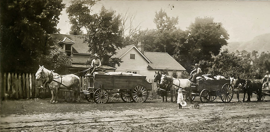 wagons