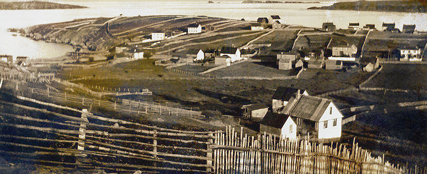 Crocker's Cove Newfoundland