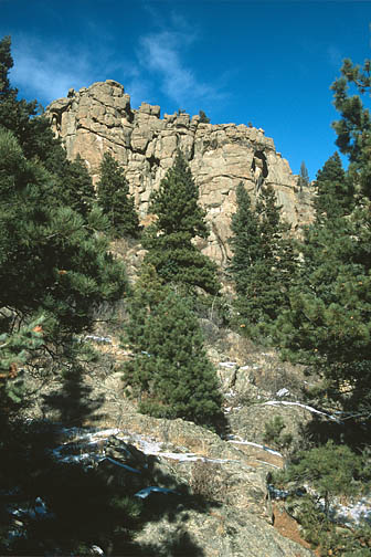 Rocky pinnacles with ponderosa pine and fir trees.