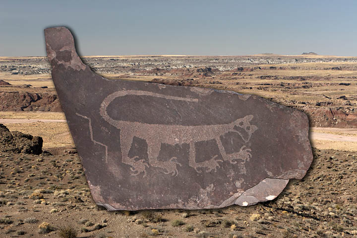 Arizona Mountain Lion Petroglyph 