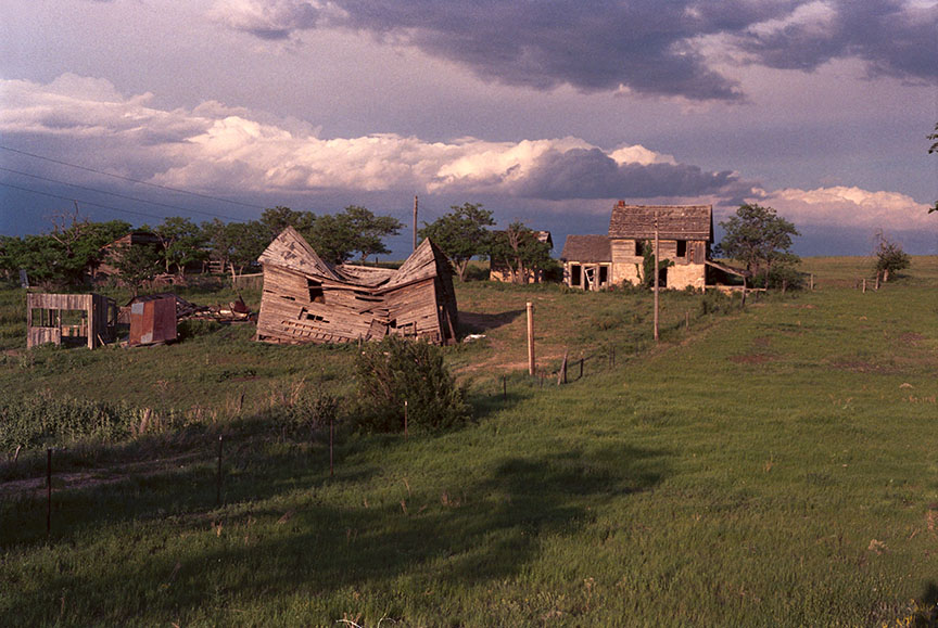 lush grasses on the farm