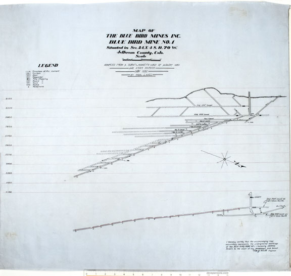 blue bird mine