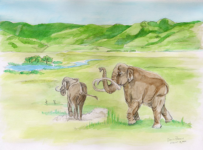 Running towards the water in a cloud of dust, a pair of Columbian mammoths trumpet and lift their trunks on the Ice Age grasslands. 