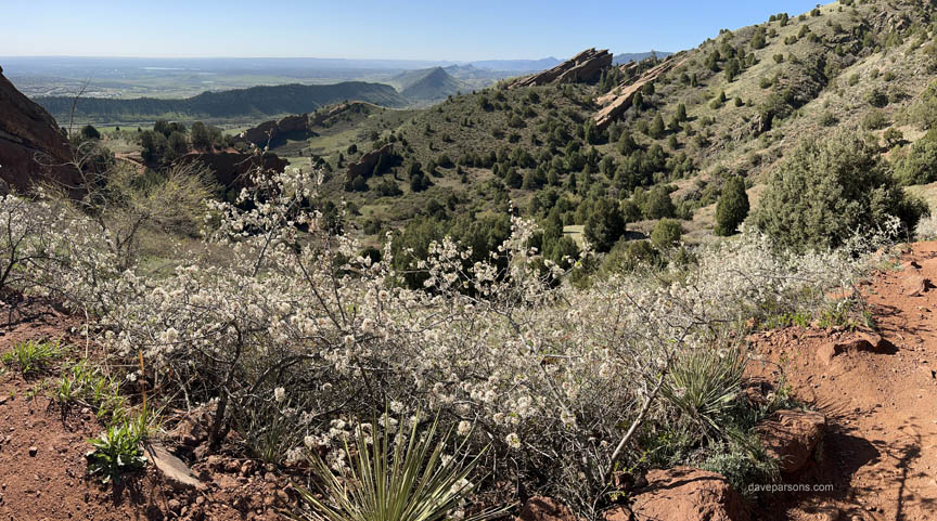 Red Rocks and hogback
