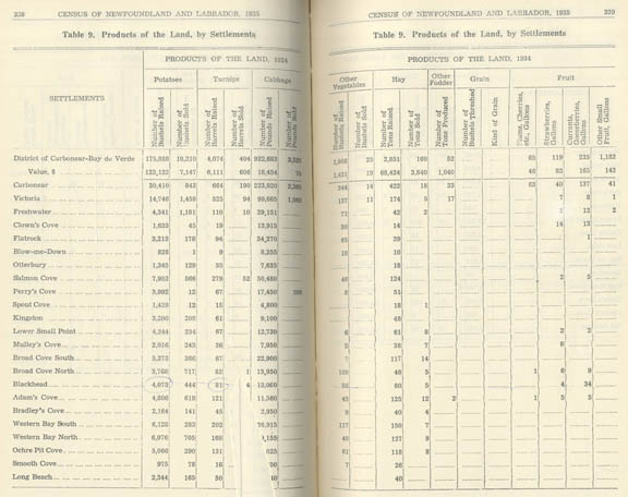 1935 Newfoundland town census - products